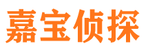 旬阳侦探公司